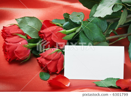 red roses and white card with a place for a congratulatory text red roses and white card with a place for a congratulatory text 6301799