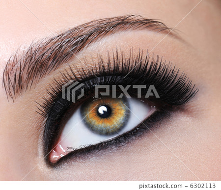 Female eye with black long eyelashes Female eye with black long eyelashes 6302113