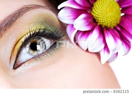 Spring make-up 6302115