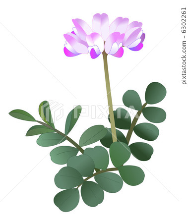 Renge 6302261