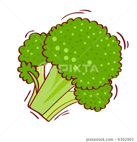 stock illustration: broccoli, vegetables, vegetable