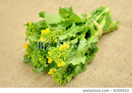 Rape blossoms Rape blossoms 6309920