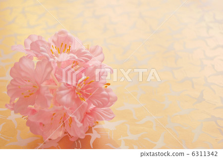 春天拍打 春天拍打 6311342