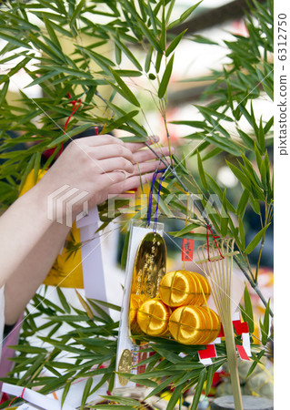 Tokura的竹筍 6312750