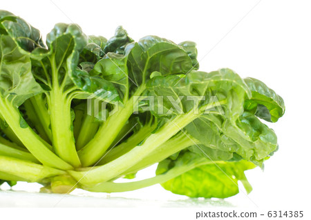 Chinese vegetables _ Tasai Chinese vegetables _ Tasai 6314385