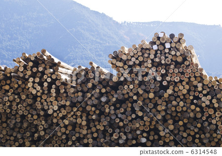 林業木材著陸點建築材料圖像 6314548