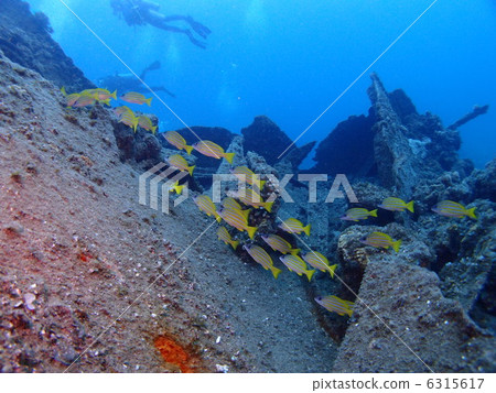 Sailing and Yosuji Fudai 6315617