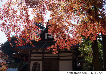 Akayama禪紙秋葉 6315721