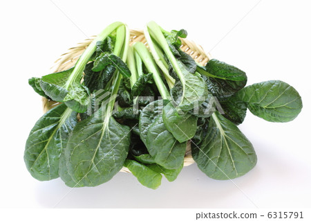 抗皺果嶺 6315791