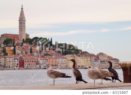 Croatia · Rovinj 6315807