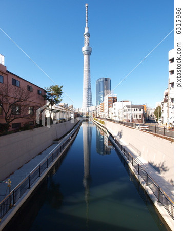 Invert sky tree 6315986