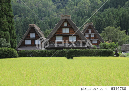 Autumn in Shirakawa-go 6316788