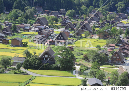 Shirakawago autumn perspective Shirakawago autumn perspective 6316795