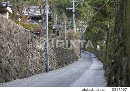 季風沼澤 6317067