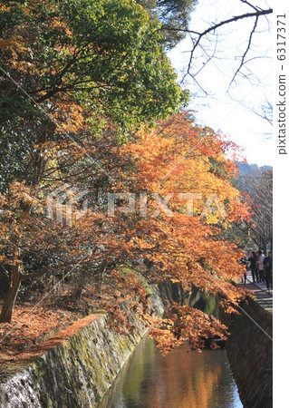 Seasonal News 6317371