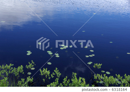 Hitsujiga floating in the blue sky 6318164
