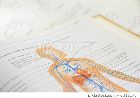 Medical book 6318175