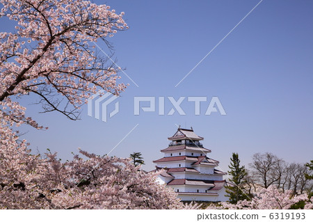 Fukushima Prefecture Aizuwakamatsu city Tsurugajo and cherry blossoms Fukushima Prefecture Aizuwakamatsu city Tsurugajo and cherry blossoms 6319193