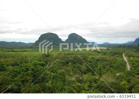 Muru (Gunung Mul National Park / East Malaysia / Borneo Island) 6319451