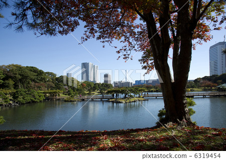 Hamarikyu Gardens Hamarikyu Gardens 6319454