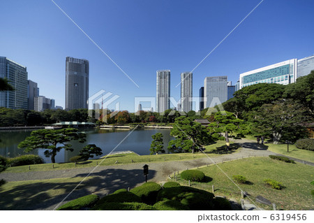 濱離宮恩賜庭園 6319456