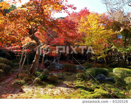 Kyoto · Enkoji Temple 6320326