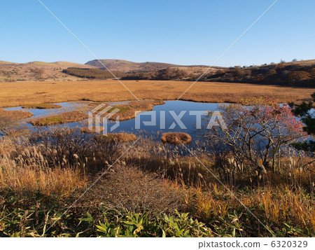 Kirigamine·Hachijigahara沼澤 Kirigamine·Hachijigahara沼澤 6320329