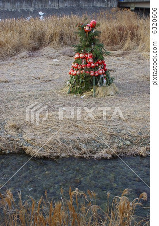 Shinshu Matsumoto region burning 6320606