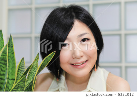 美麗/多彩/觀葉植物(Sansuberia)/工作室 美麗/多彩/觀葉植物(Sansuberia)/工作室 6321012