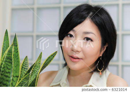 美麗/多彩/觀葉植物(Sansuberia)/工作室 美麗/多彩/觀葉植物(Sansuberia)/工作室 6321014