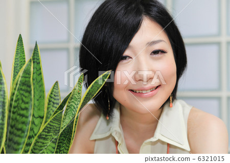 美麗/多彩/觀葉植物（Sansuberia）/工作室 6321015