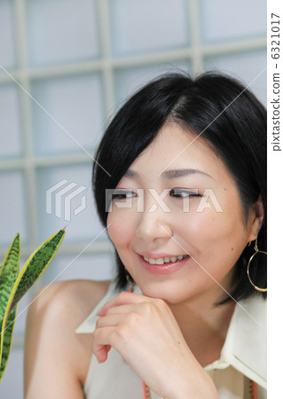 美麗/多彩/觀葉植物(Sansuberia)/工作室 美麗/多彩/觀葉植物(Sansuberia)/工作室 6321017