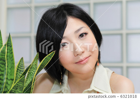 美麗/多彩/觀葉植物(Sansuberia)/工作室 美麗/多彩/觀葉植物(Sansuberia)/工作室 6321018