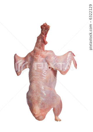 Partridge fresh bird isolated 6322129