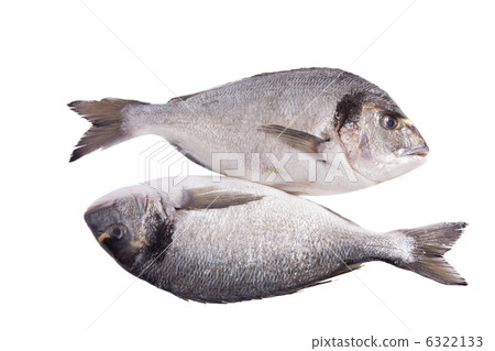 Two dorado fish isolated on white 6322133