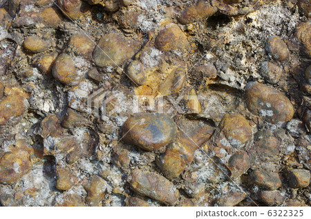 豆岩:蘆葦岩露頭的擴大 豆岩:蘆葦岩露頭的擴大 6322325