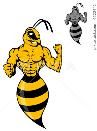Powerful wasp or yellow hornet 6322442
