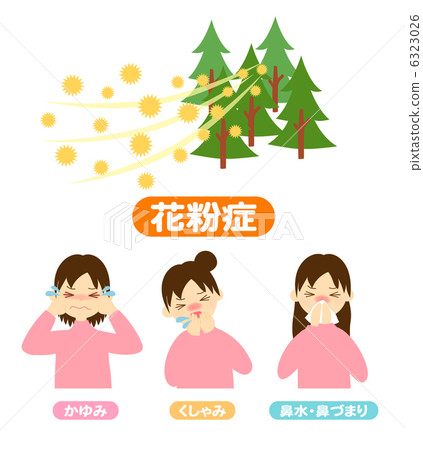 花粉症的症狀 插圖素材 圖庫