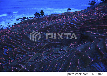 白米Senbaida夜視圖 白米Senbaida夜視圖 6323073