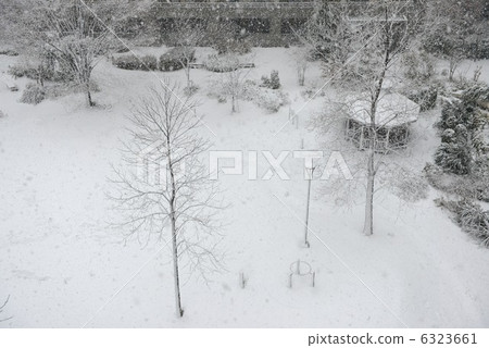 雪地 6323661