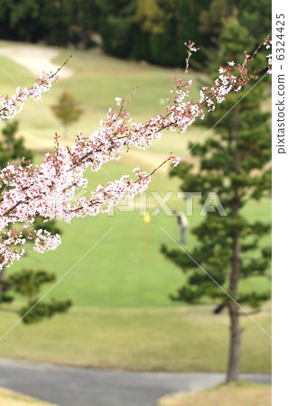 Spring Golf Spring Golf 6324425