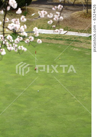 Spring Golf Spring Golf 6324426