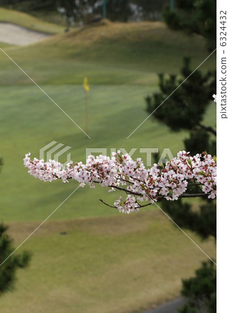 Spring Golf Spring Golf 6324432