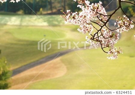 Spring Golf 6324451