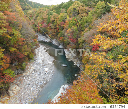 從鬼怒川河的日光市栃木縣竹海橋（11月） 6324794