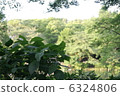 井之頭公園 6324806