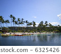 Hotels in Island of Hawaii 6325426