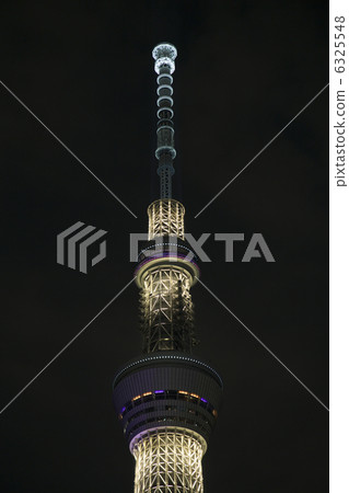 Sky tree  6325548