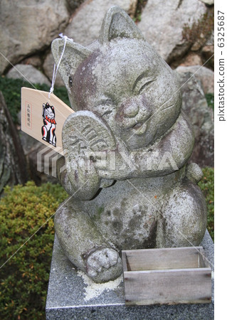 一隻貓 一隻貓 6325687