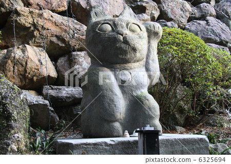 貓老師 貓老師 6325694